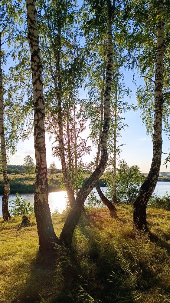 Лето, ах, лето!