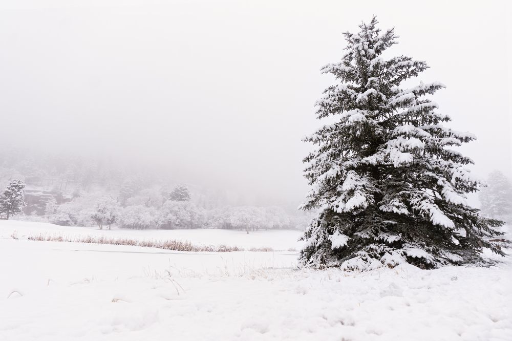 Photograph by Angie Perisse