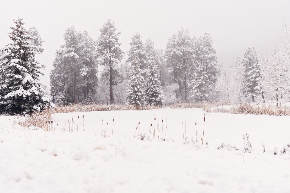 Photograph by Angie Perisse