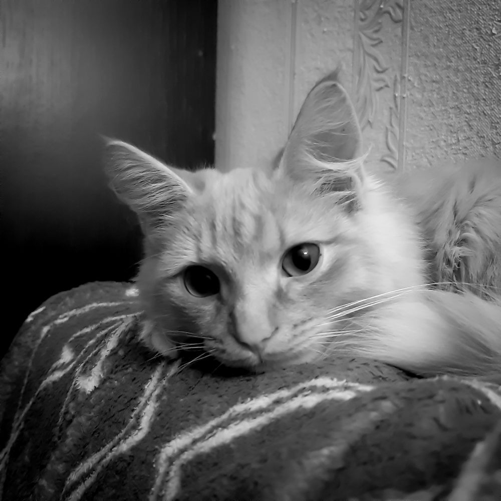 Photograph by Анна Печникова