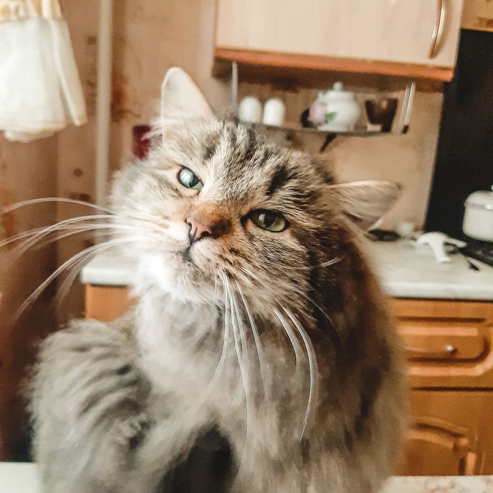 Photograph by Анна Печникова