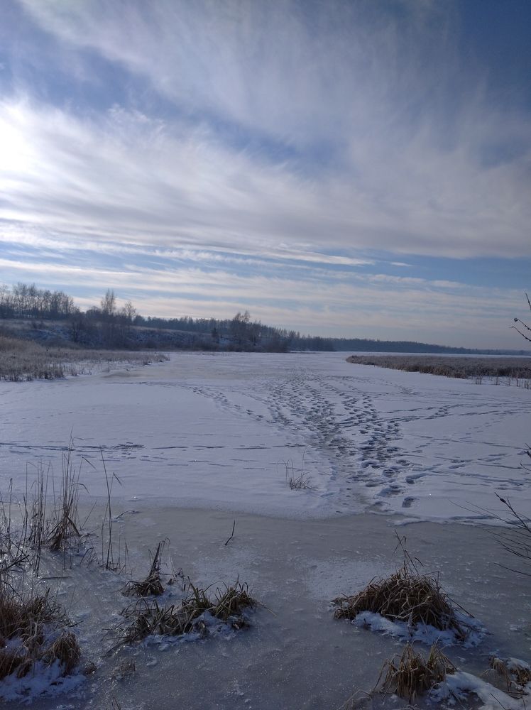 Photograph by Елена Коробченко