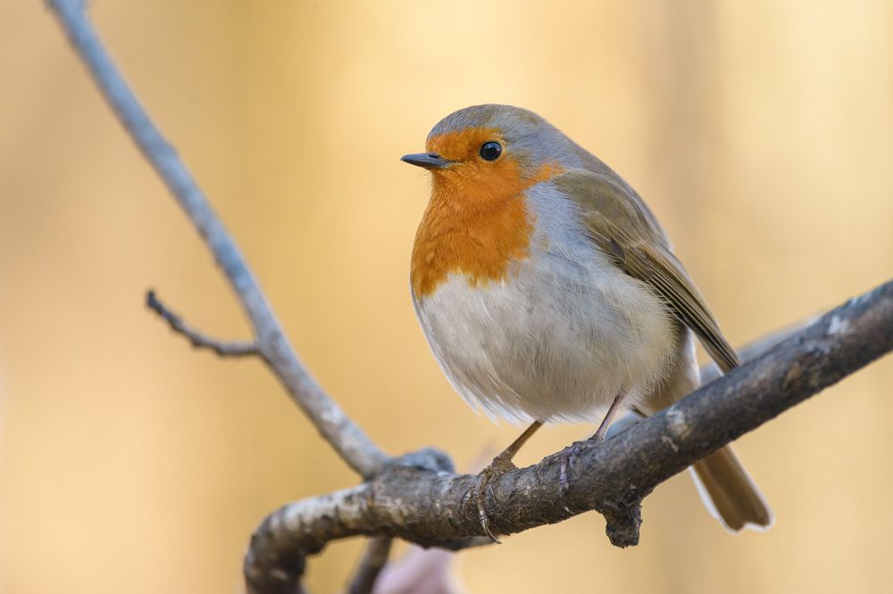 Photograph by Андрей Клыпин