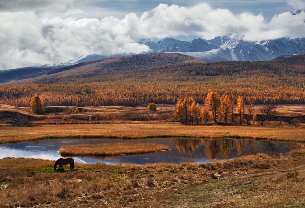 Photograph by Галина Хвостенко