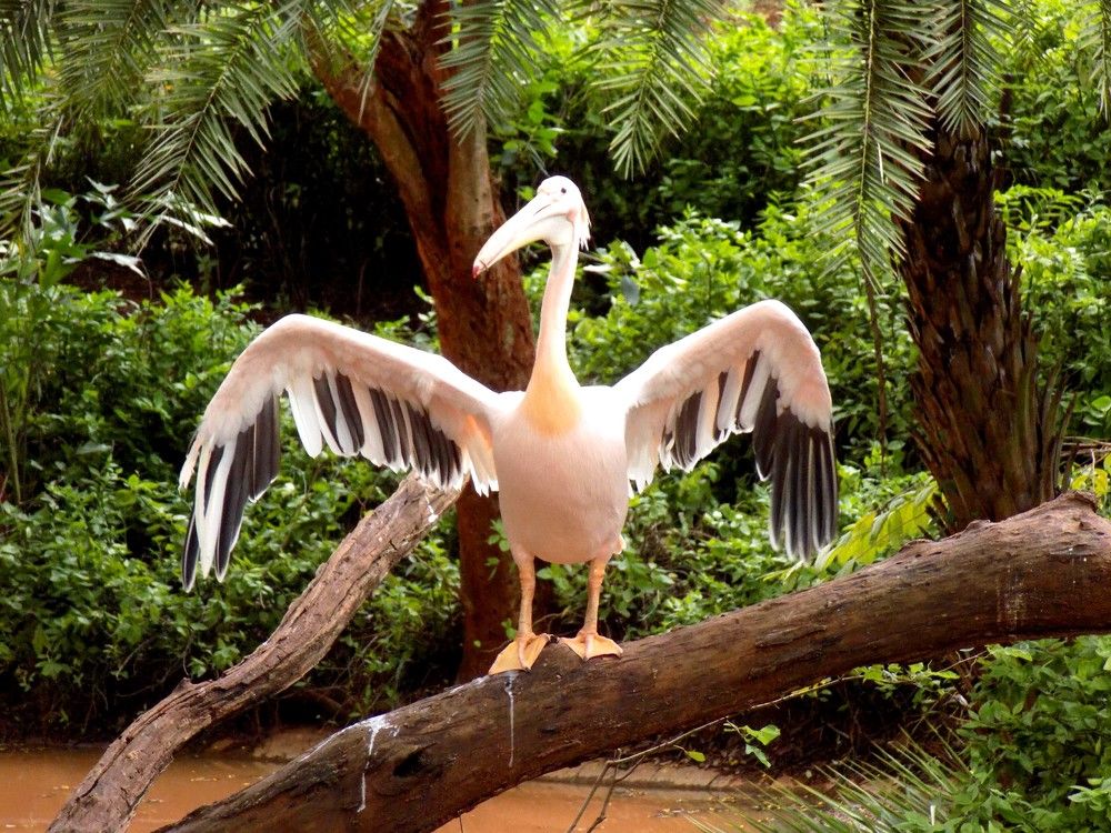 Photograph by Soumya Ranjan Padhi
