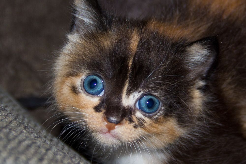 Photograph by Анна-Лаймуте Милошевич