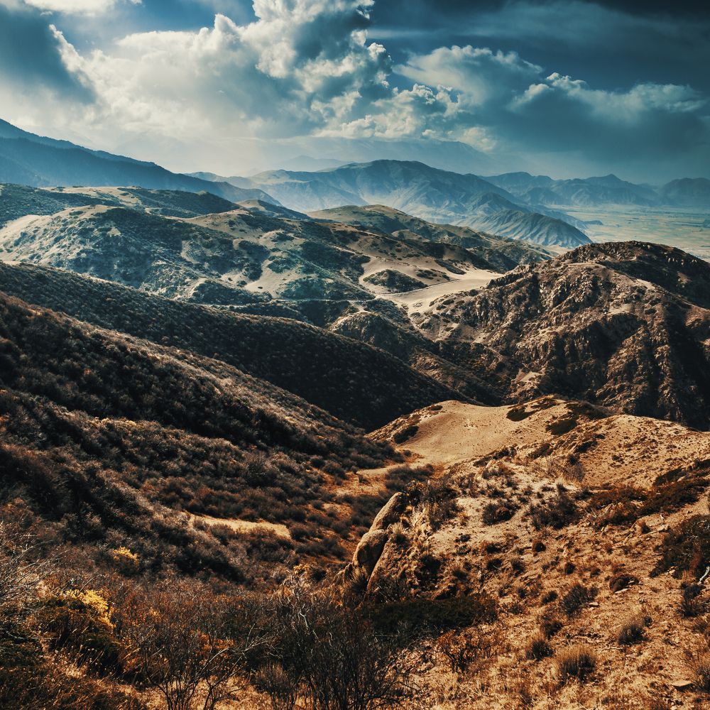 Photograph by alex flash