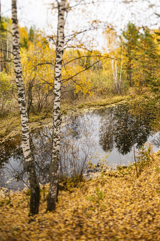 Фотография автора Валерий Каргин