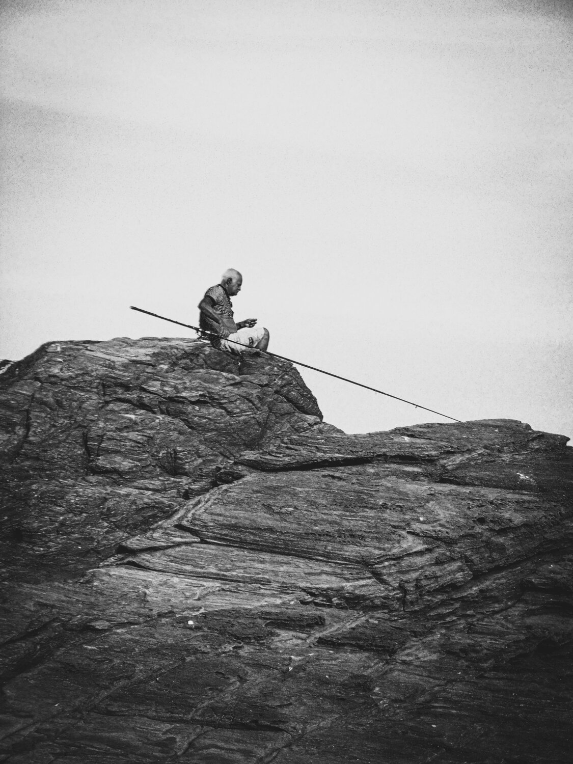 Photo #8747163