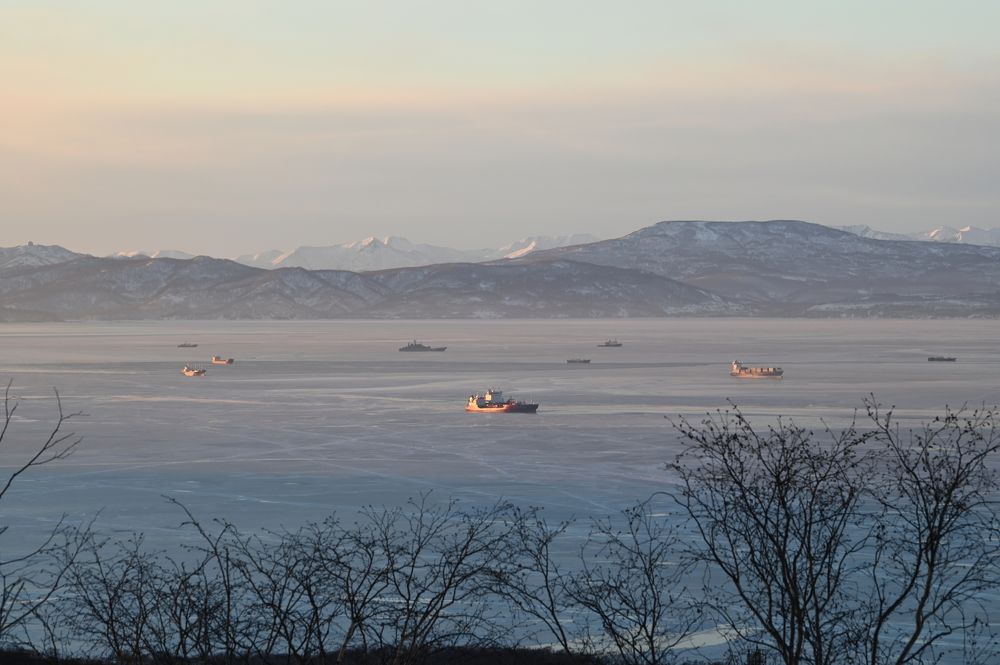 Фотография автора Ирина Копылова