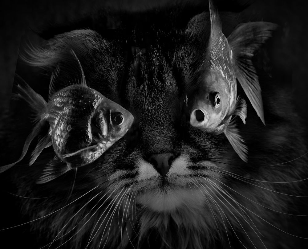 Photograph by Зоя Быкова