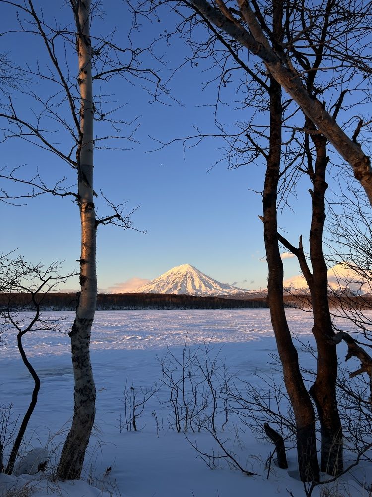 Фотография автора Ирина Копылова