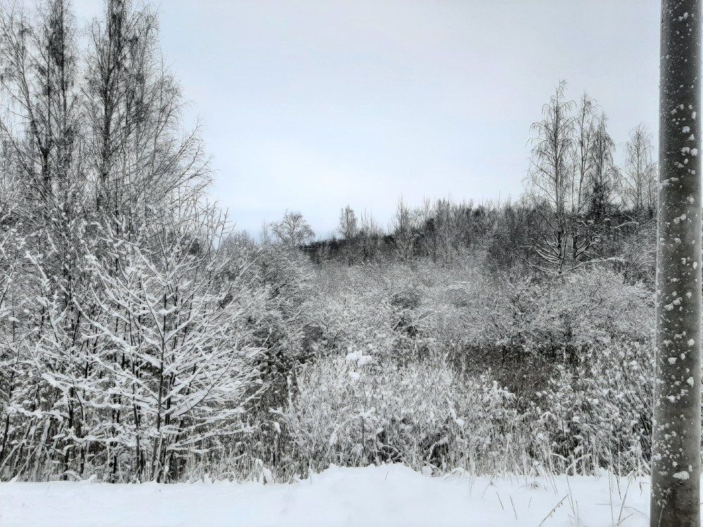 Photograph by Мария Пичугина