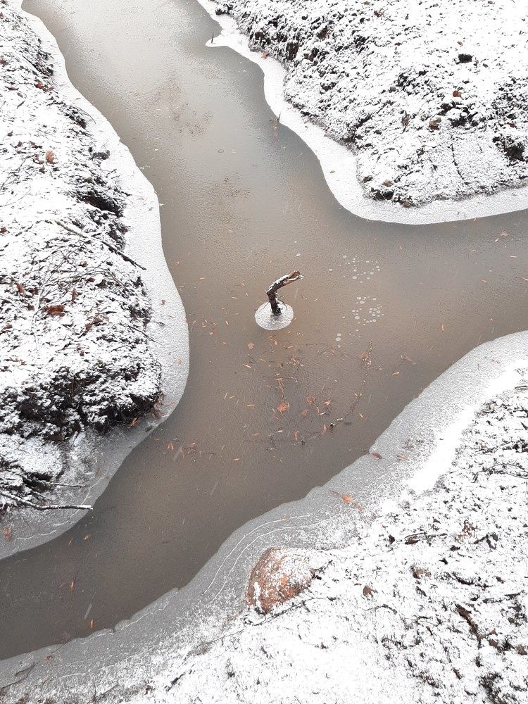 Photograph by Мария Пичугина