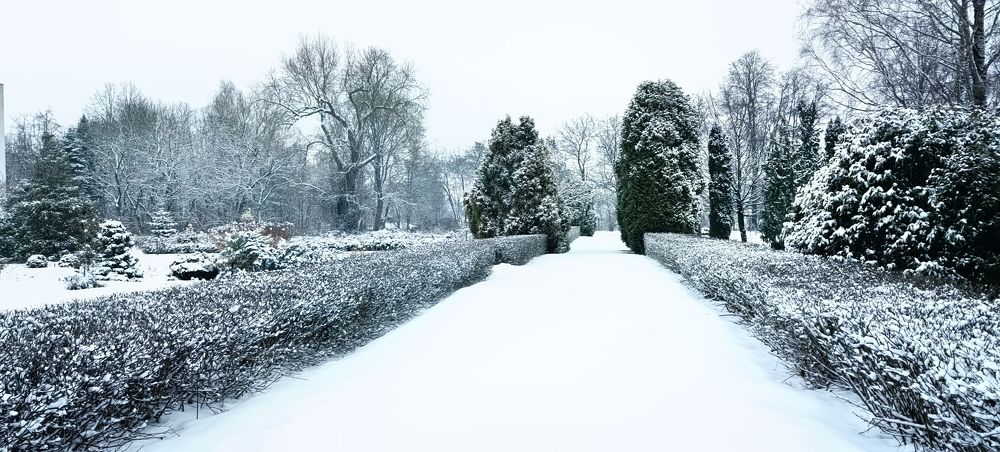 Photograph by Наталья Липко