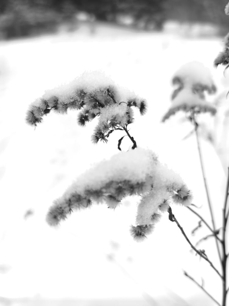 Photograph by Наталья Липко