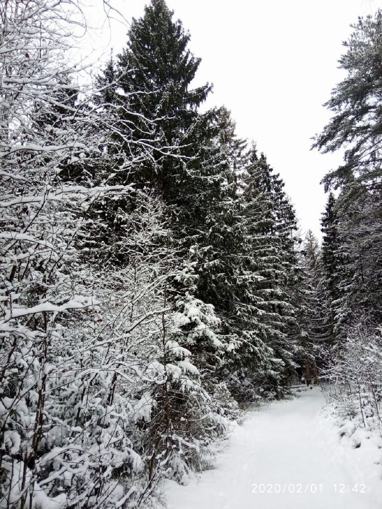 Photograph by Ольга Пришедько
