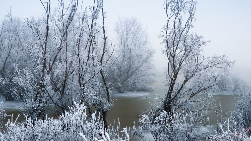 Фотография автора Вадим Коваленко