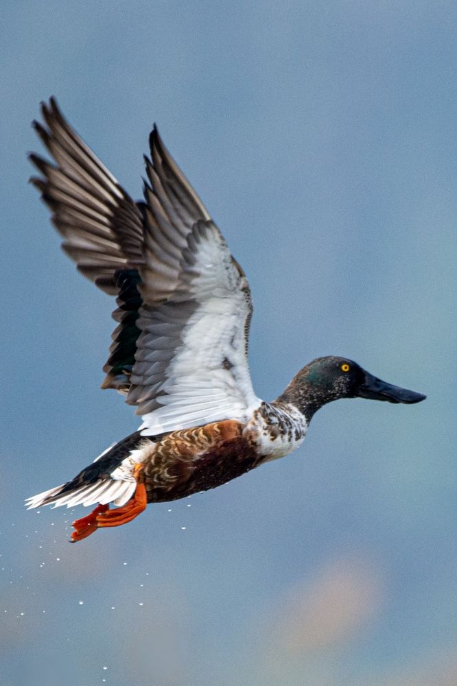 Photograph by Shiv Kumar Gupta