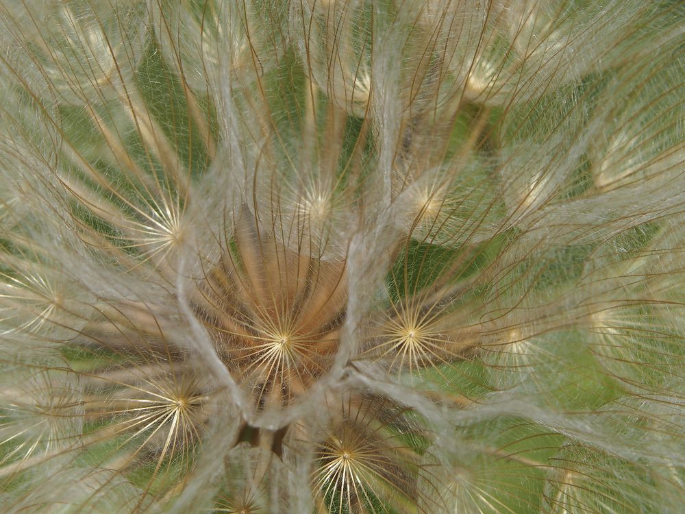 Фотография автора Александр Кротков