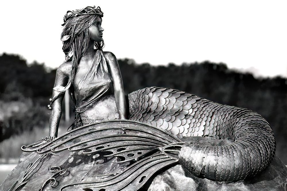 Photograph by Михаил Тиханович