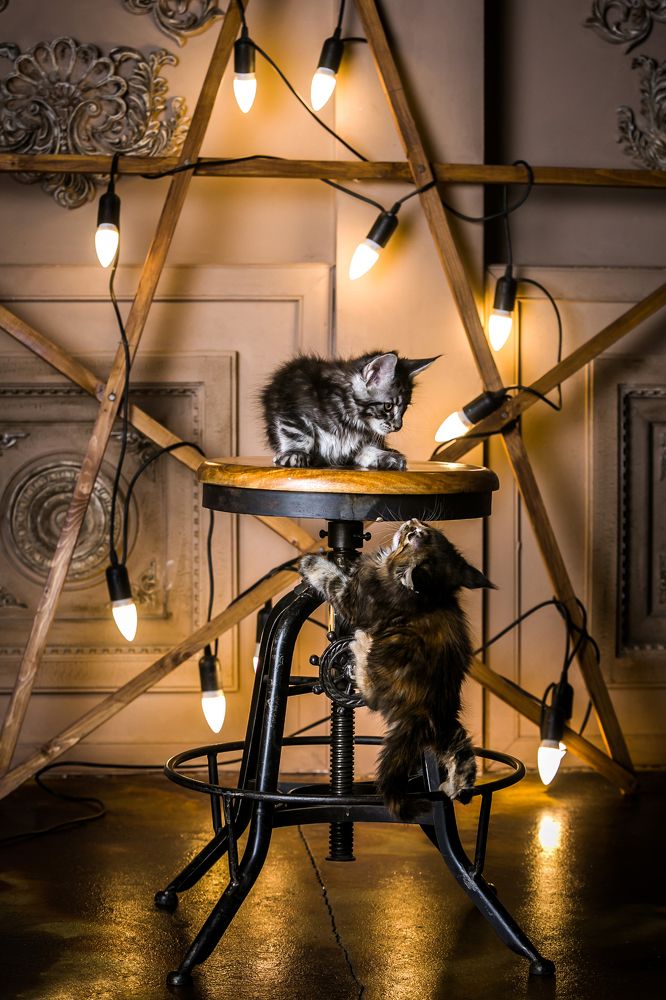 Photograph by Дмитрий Алабугин