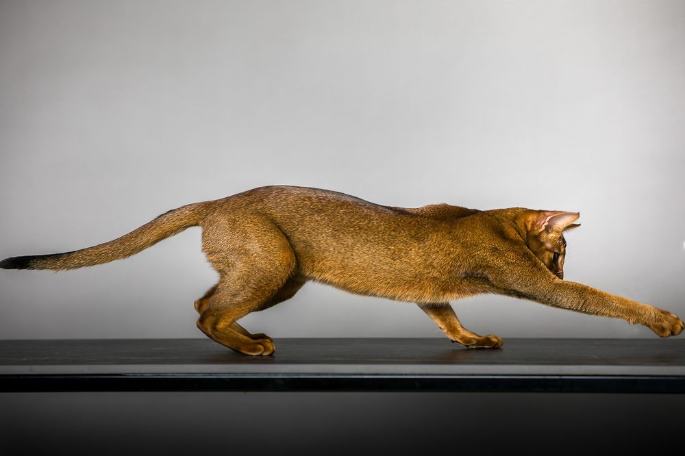 Photograph by Дмитрий Алабугин