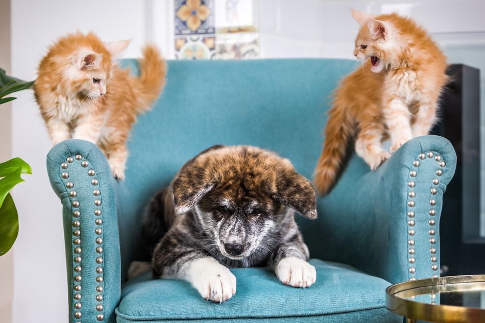 Photograph by Дмитрий Алабугин