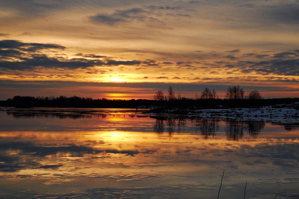 Photograph by Шелепнёва Лина