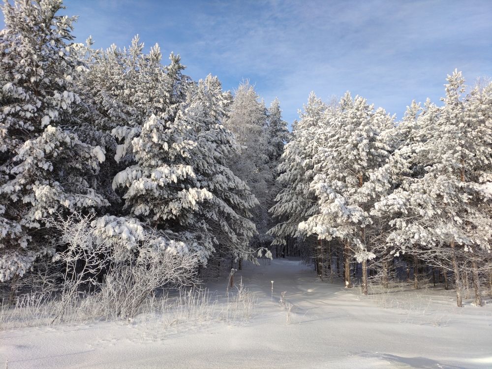 Photograph by Наиль Вафин