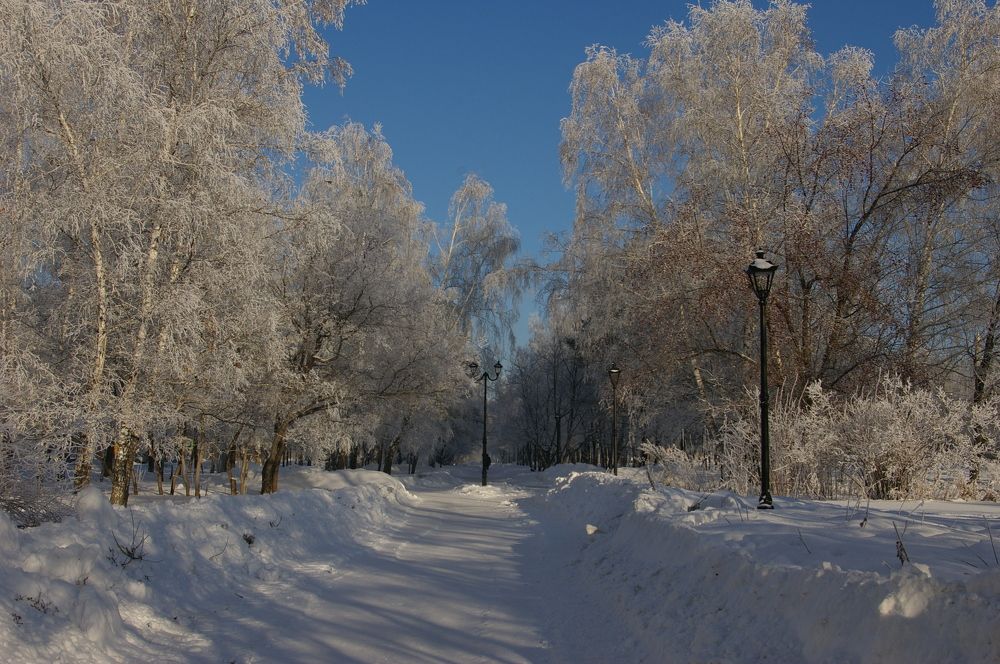 Photograph by Елена Алешкевич