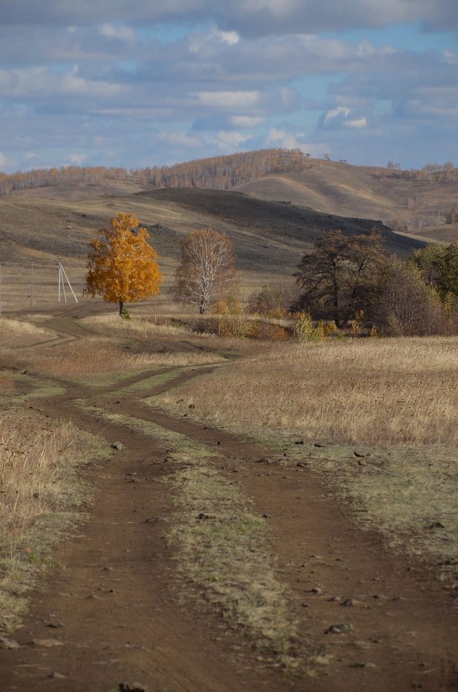 Photograph by Ольга Айдагулова