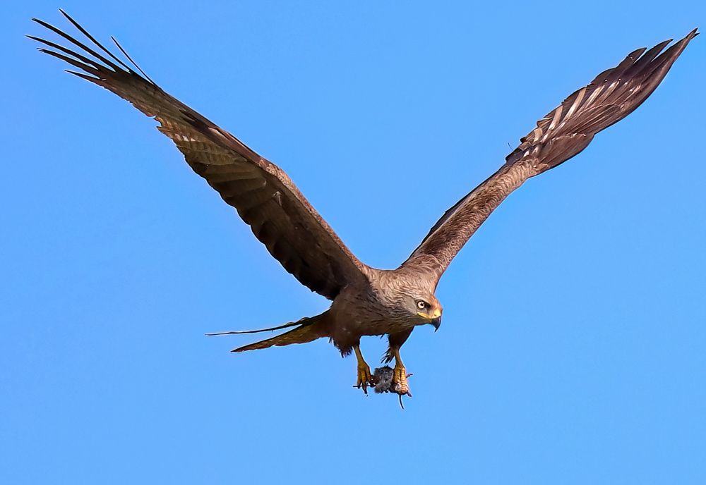 Photograph by Михаил Тиханович