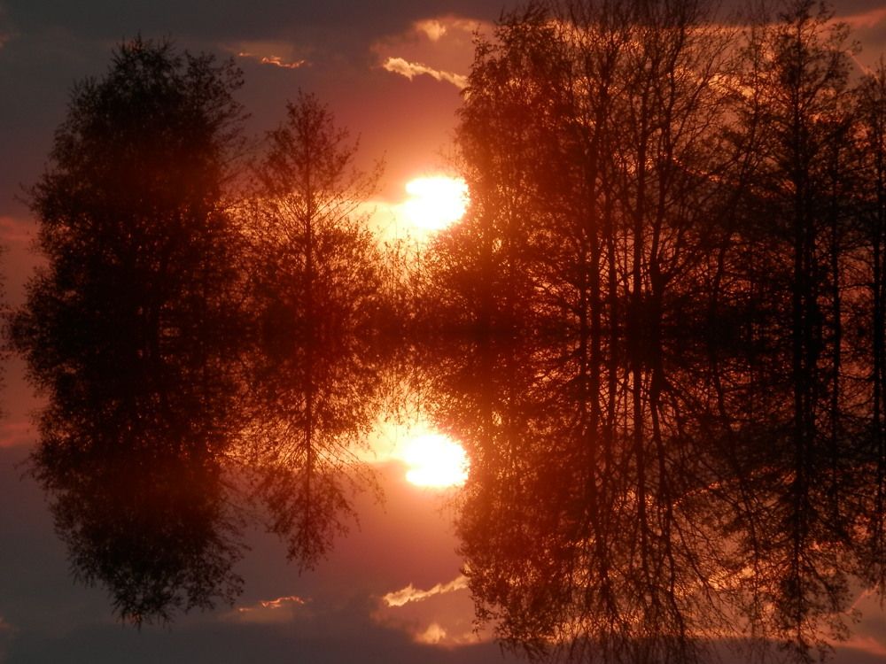 Photograph by Георгий Салюков