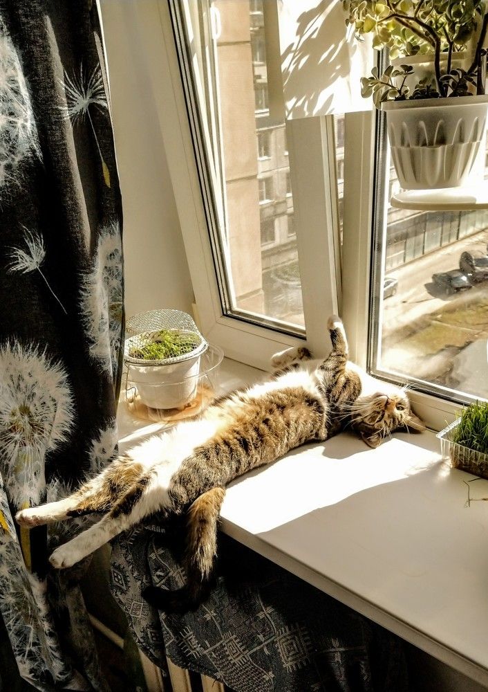 Photograph by Ольга Белик