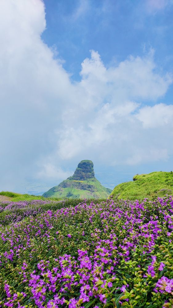 Photograph by Sameer Jadhav