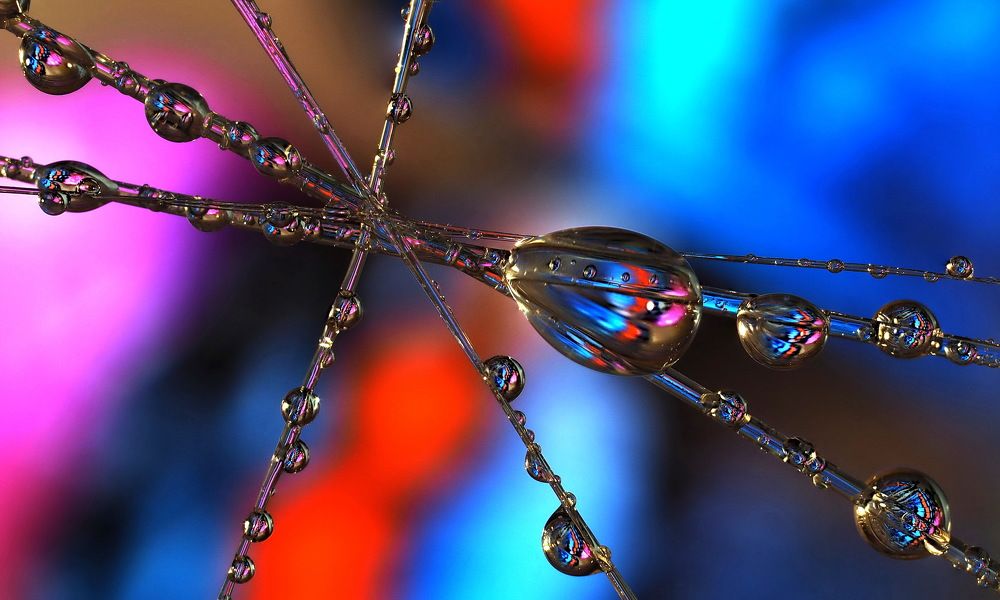 Бабочки ,отражение в каплях.