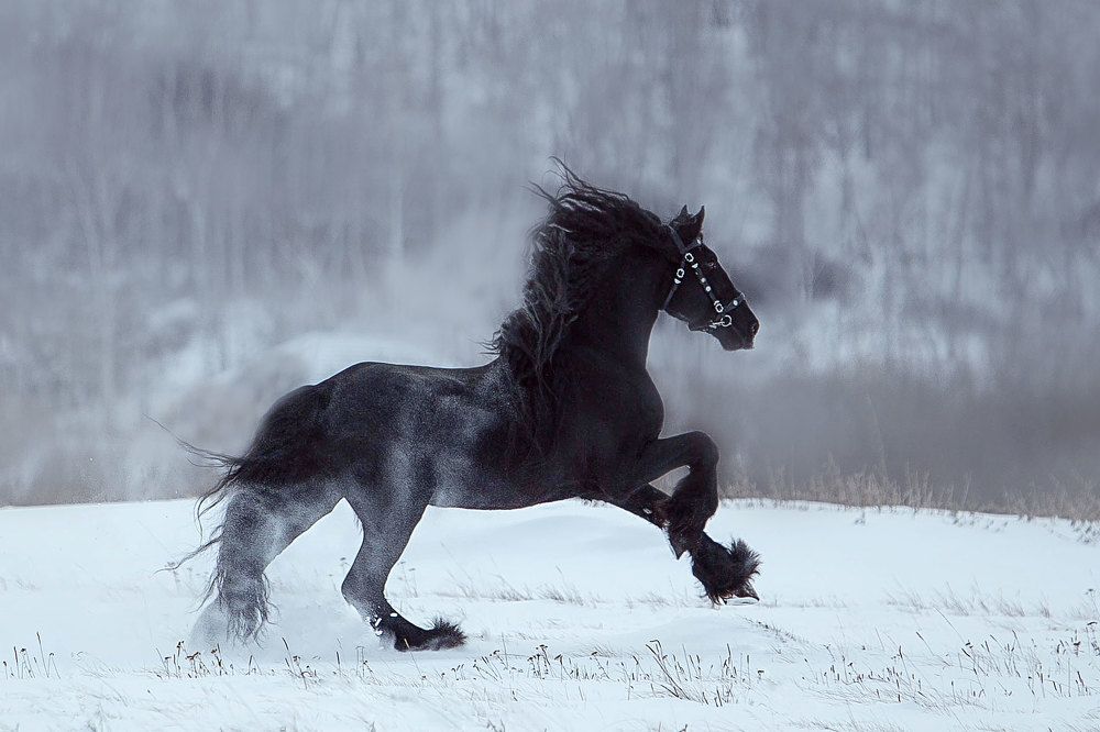 Photograph by Любовь Похабова