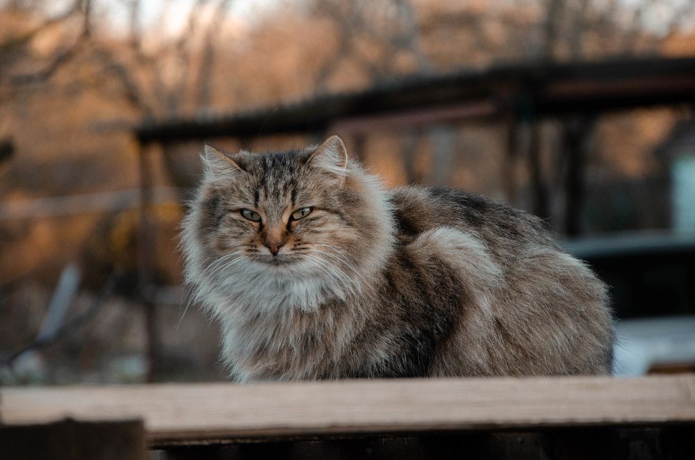 Photograph by Алексей Ананьев