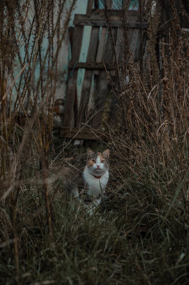 Photograph by Алексей Ананьев