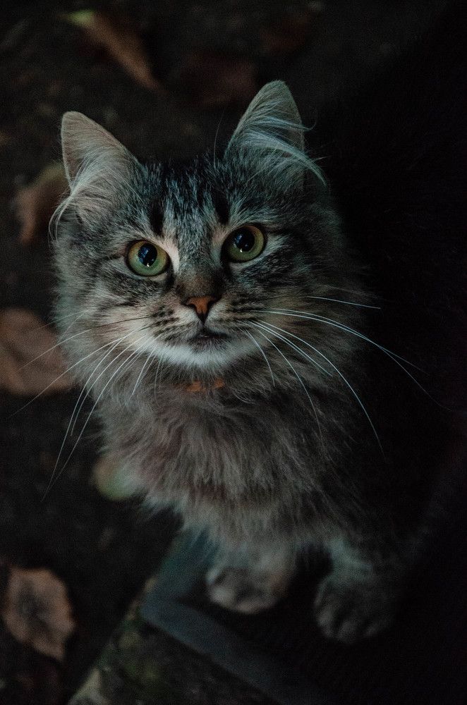 Photograph by Алексей Ананьев