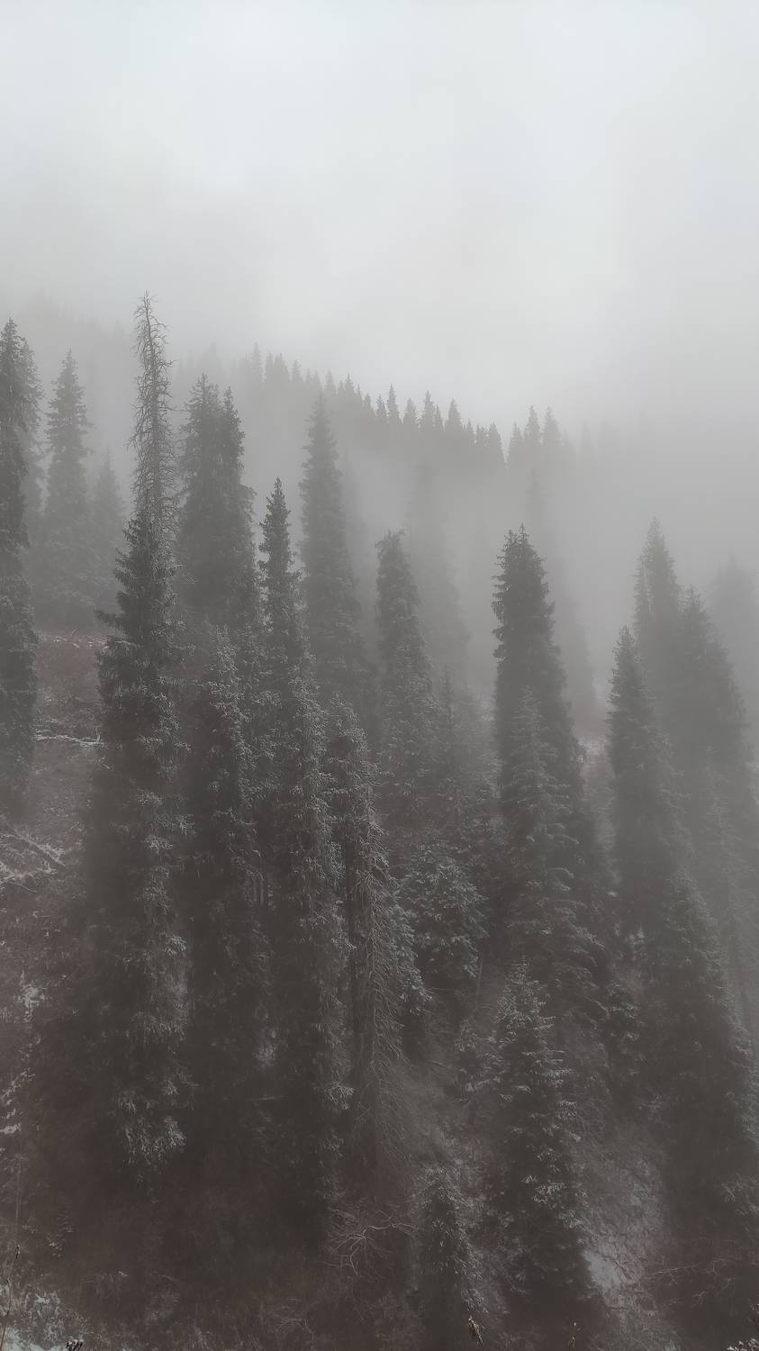 Photo #8747789