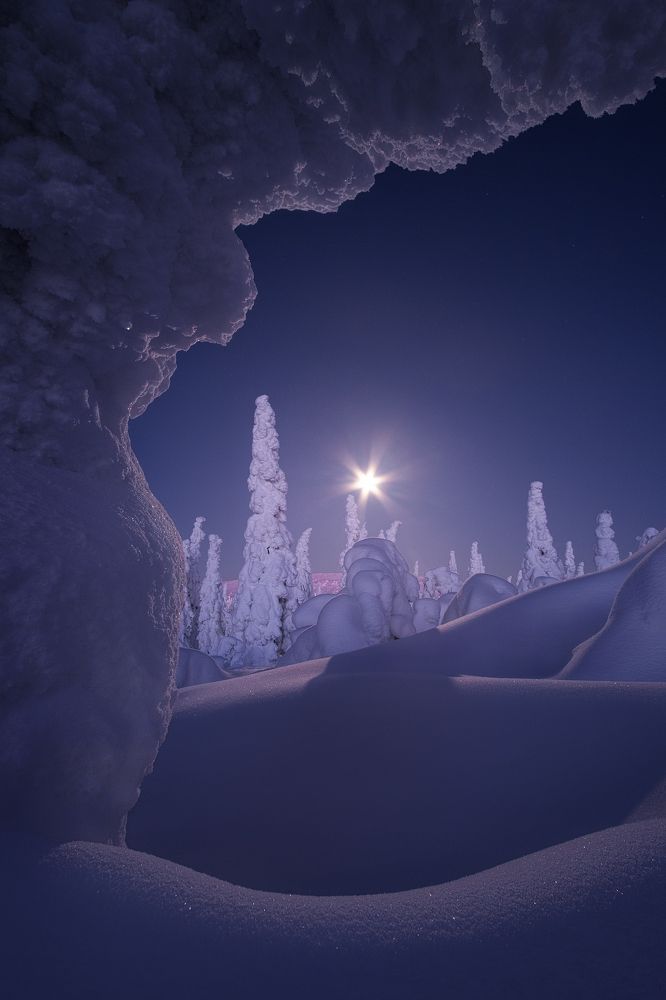 Photograph by Глеб Желтов