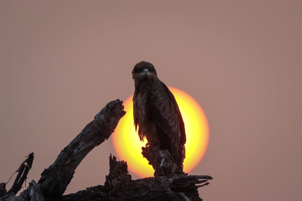 Photograph by tarun singh