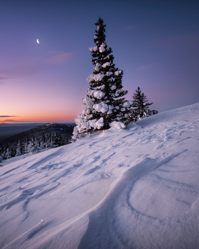 Фотография автора Глеб Желтов