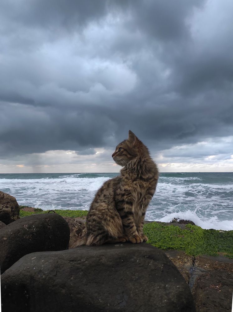 Photograph by ahmed shehata