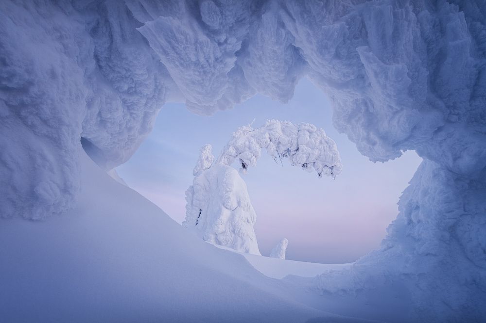 Photograph by Глеб Желтов