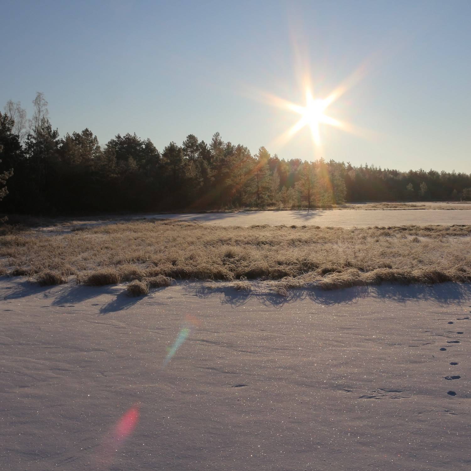 Photo #8747876