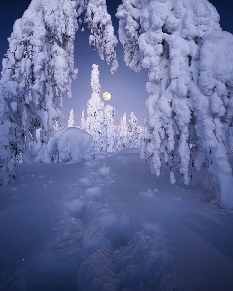 Photograph by Глеб Желтов