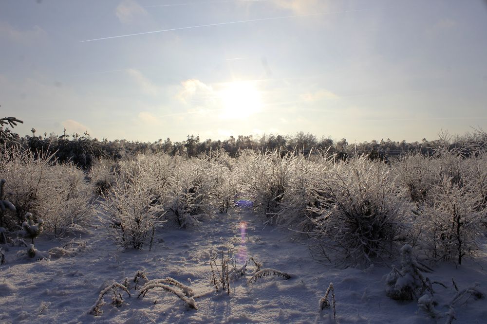 Photograph by Татьяна Фоевцева